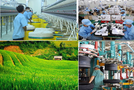 Hỗ trợ phát triển kinh tế tập thể, hợp tác xã trên địa bàn tỉnh Quảng Nam giai đoạn 2021 - 2025