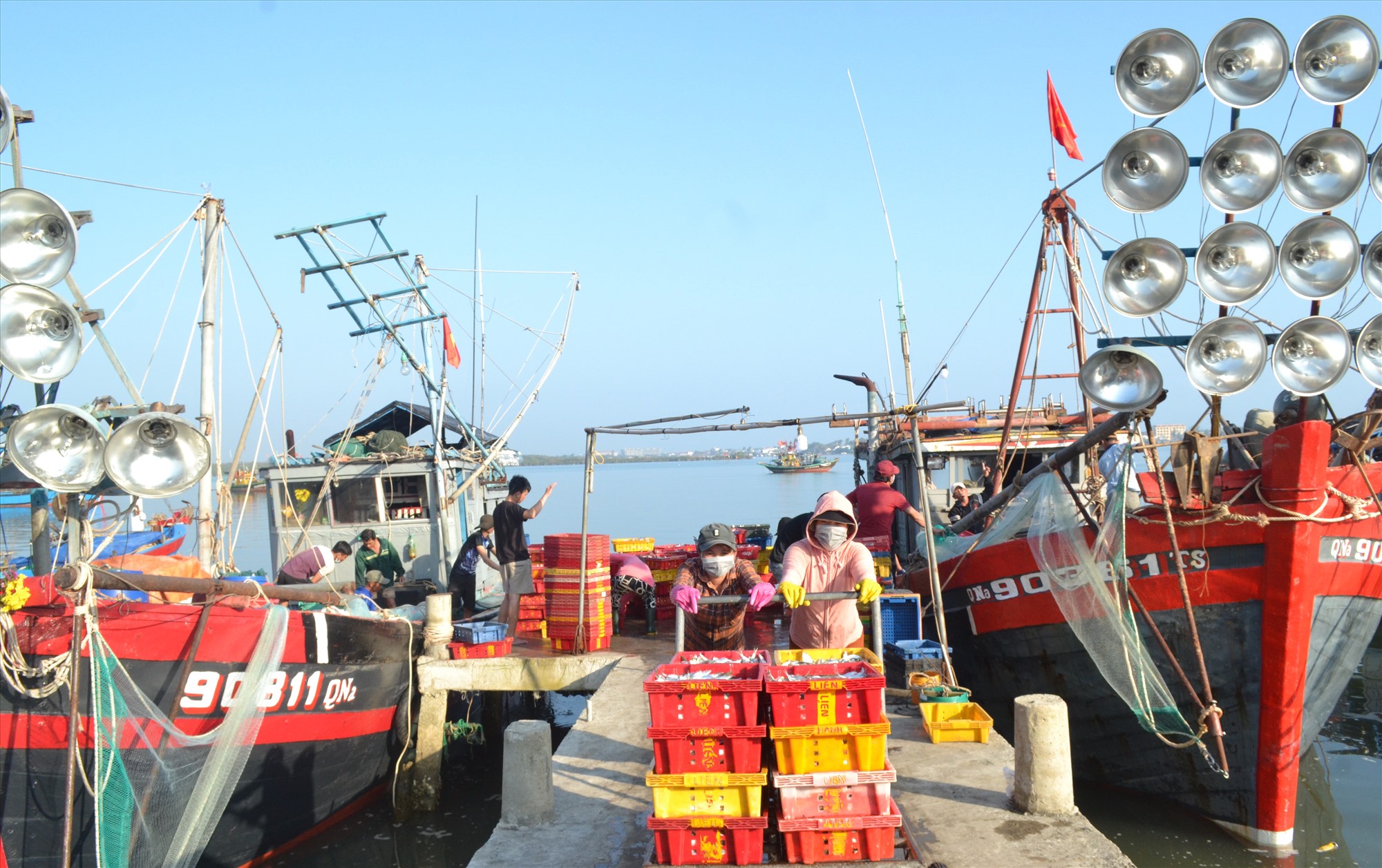 Ngành Nông lâm ngư nghiệp huyện Núi Thành có nhiều chuyển biến tích cực