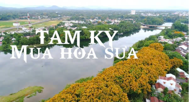 Thông tin Lễ hội “Tam Kỳ - Mùa hoa sưa năm 2025”
